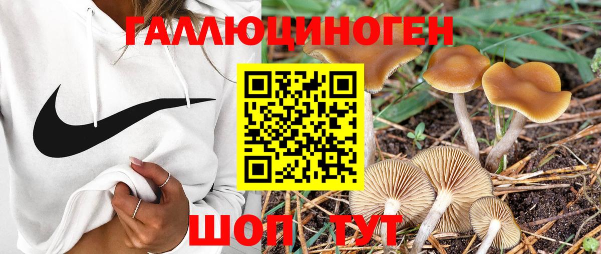 COCAIN  Бошки Шишки  МДМА  Дедовск  Гашиш  Меф кристаллы  Вход с VPN  COCAIN 