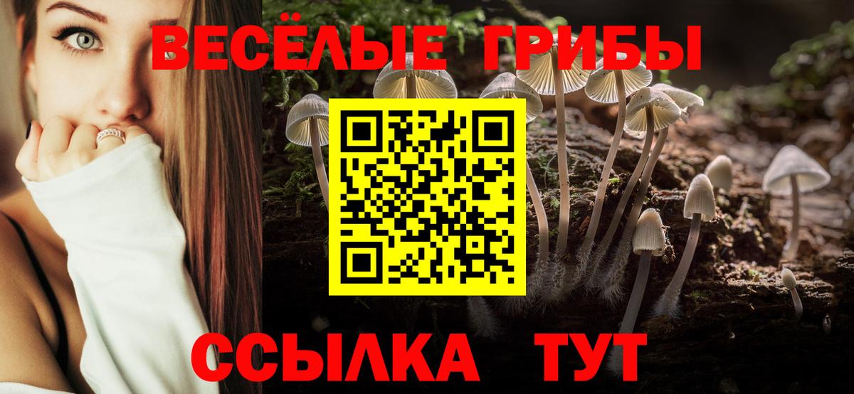 Псилоцибиновые грибы Cubensis  Галлюциногенные грибы MAGIC MUSHROOMS  Вход с VPN  Дедовск 